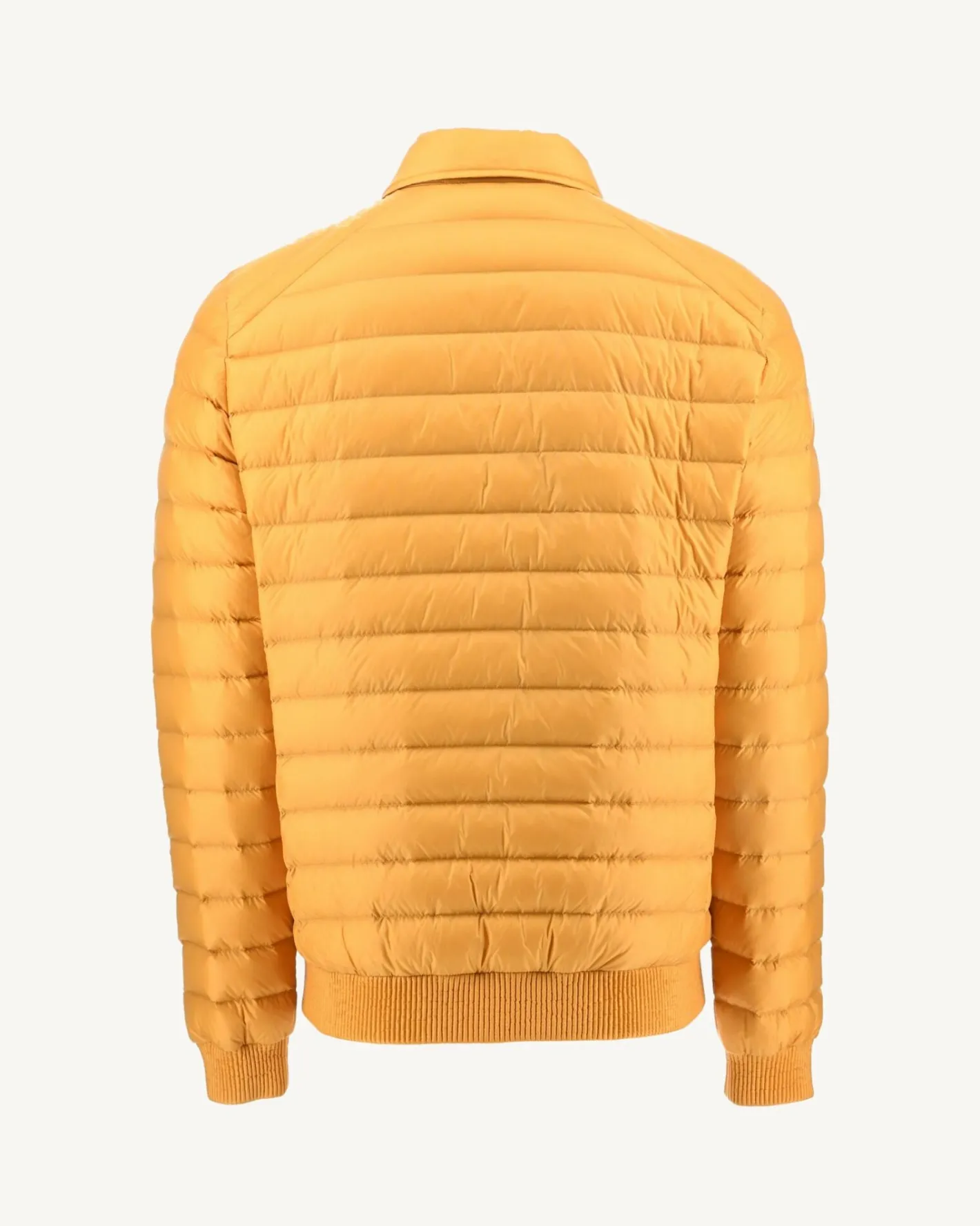 Donzen Jassen & Jacks-JOTT Doudoune Moutarde James 621 Moutarde