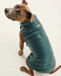 Hondenjassen-JOTT Doudoune Pour Chien Vert Fonce Woop 203 Vert Fonce