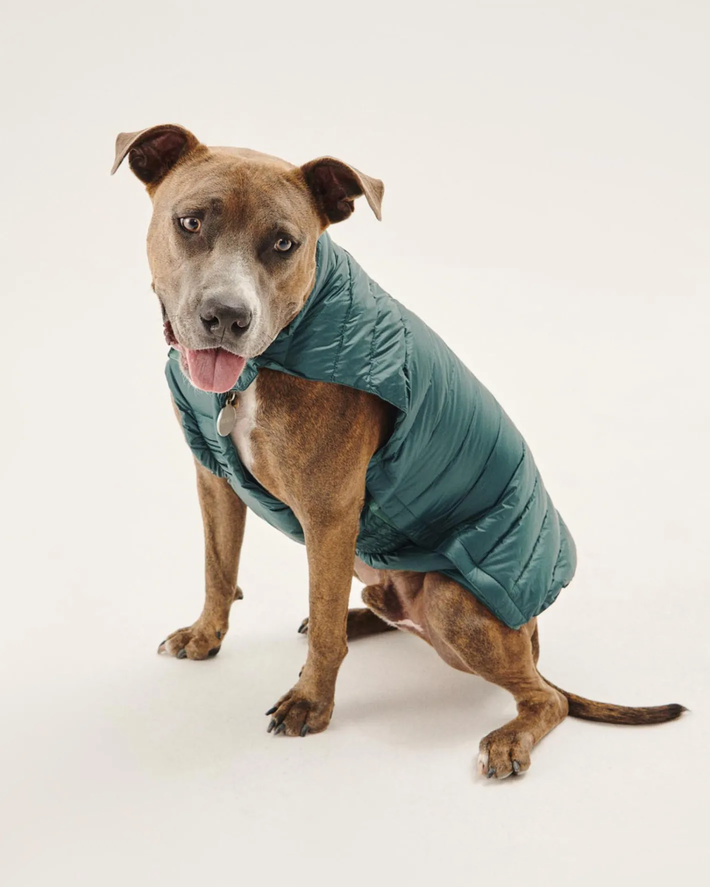Hondenjassen-JOTT Doudoune Pour Chien Vert Fonce Woop 203 Vert Fonce