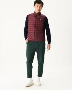Donzen Jassen & Jacks-JOTT Doudoune Sans Manches Aubergine Tom 461 Aubergine